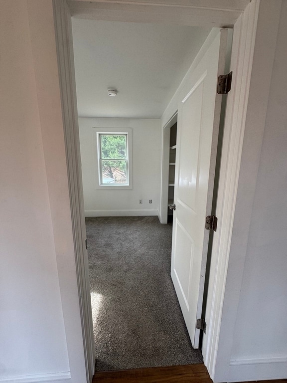 Building Photo - 35 Canedy St