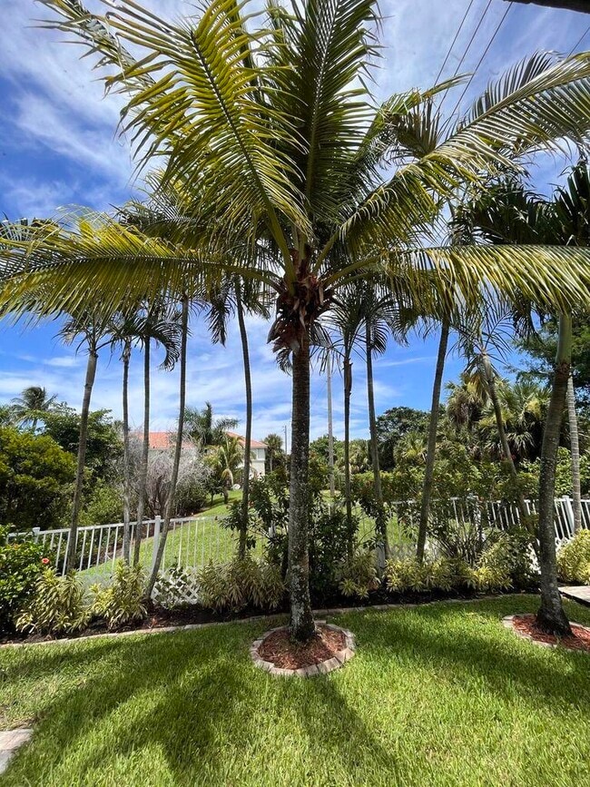 Building Photo - 1107 Via Jardin