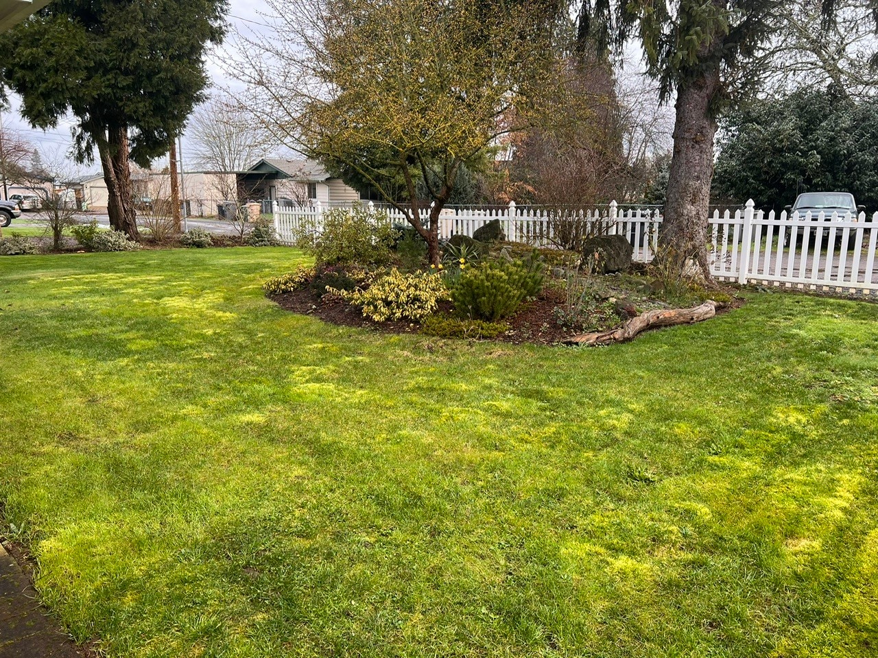 View from Front Porch - 430 Douglas St SE