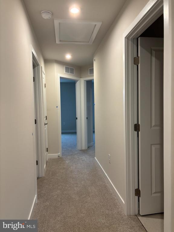 Building Photo - 2646 Tisbury Ln