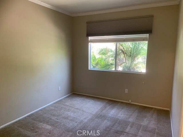 Building Photo - 4179 Crooked Stick Ln