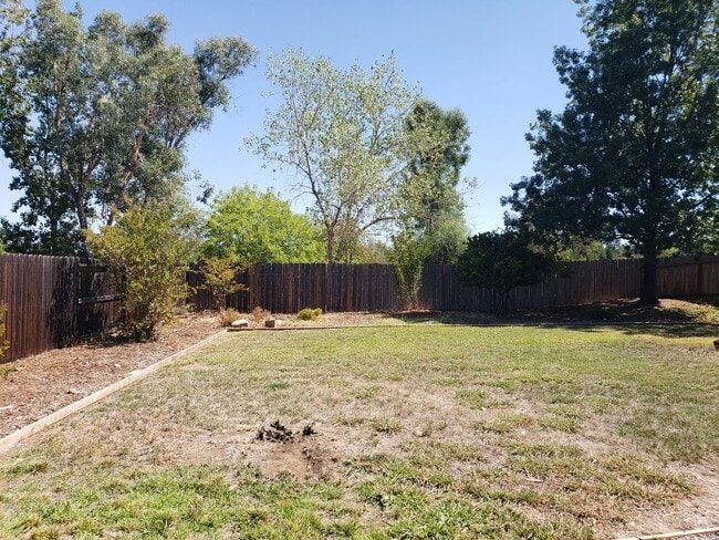 Building Photo - 586 Springer Dr