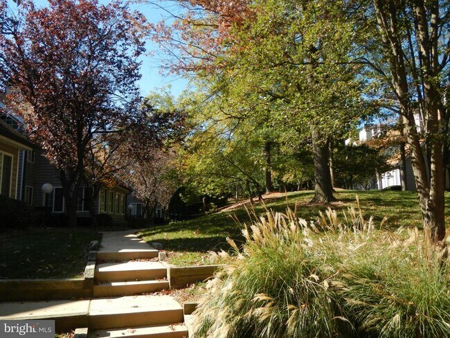 Building Photo - 10817 Amherst Ave