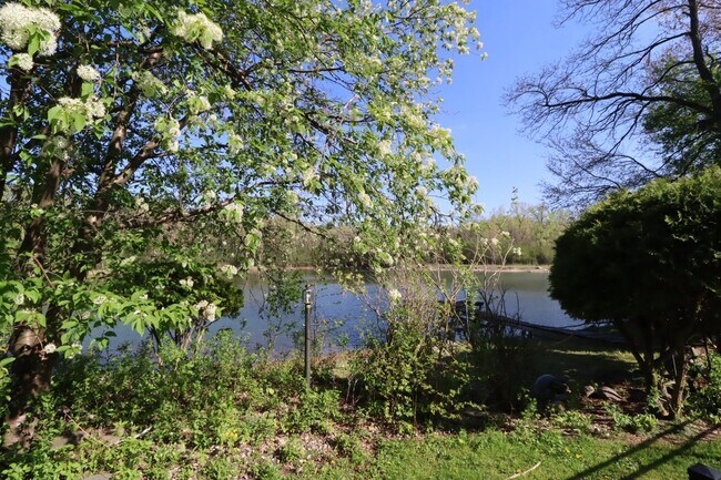 Building Photo - Stunning 4 Bedroom Home with Pond Access