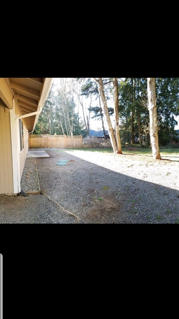 Backyard. - 10321 146th St E