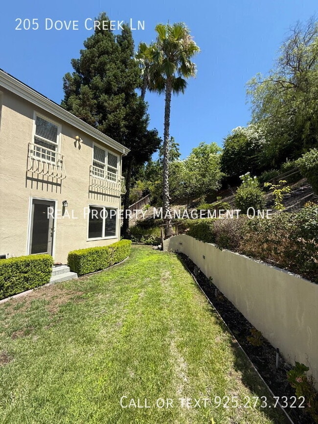 Building Photo - 205 Dove Creek Ln