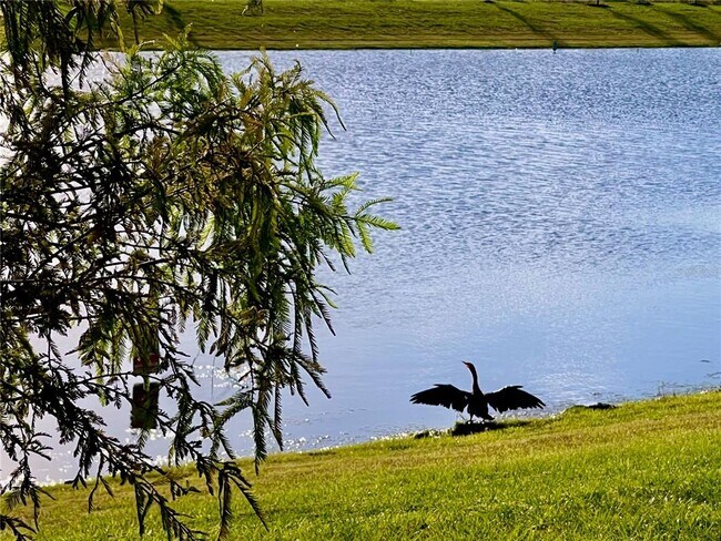 Building Photo - 2469 Spring Tune Aly