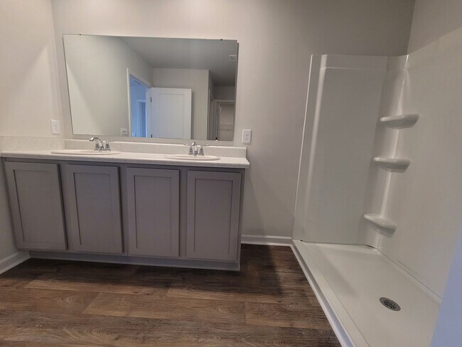 Building Photo - Welcome to our brand new 4-bedroom, 2-bathroom home located in the charming community of Castle H...