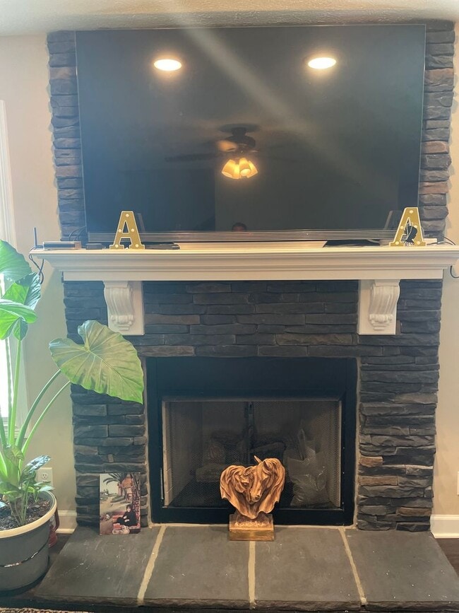 Building Photo - 1046 Christian James Ct