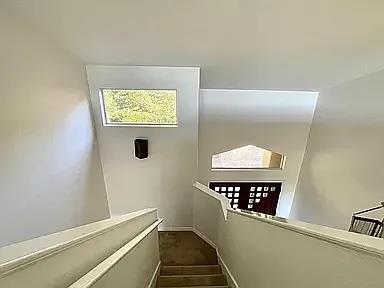 Building Photo - 10807 Love Bird Cove