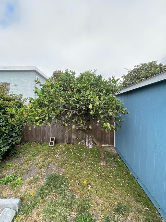 Building Photo - 3112 California St