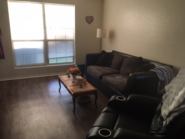 living room - 4302 Jeff Scott Dr