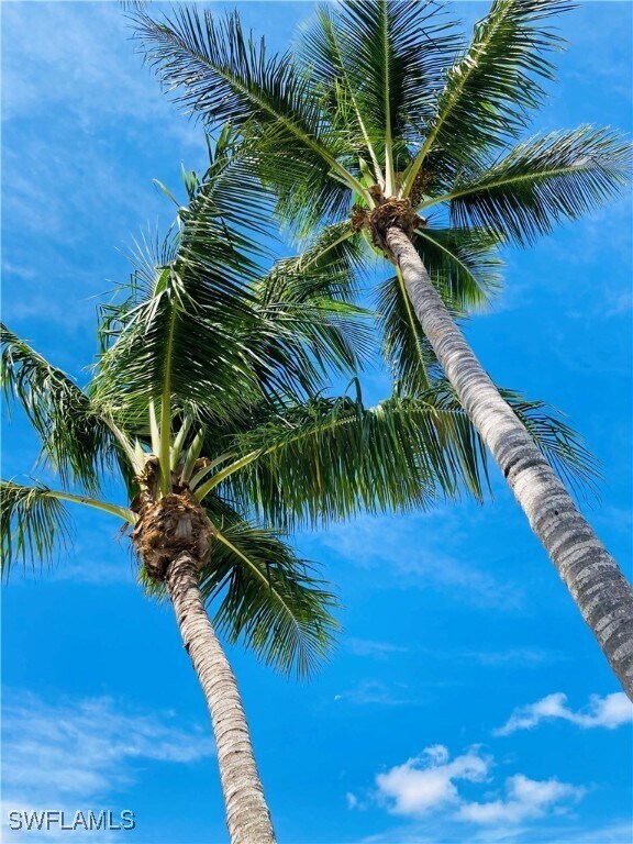 Building Photo - 1016 7th St S