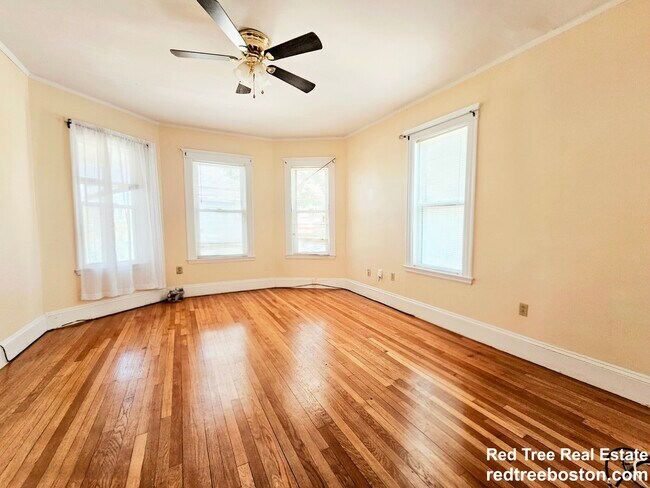 Building Photo - 243 Callender St
