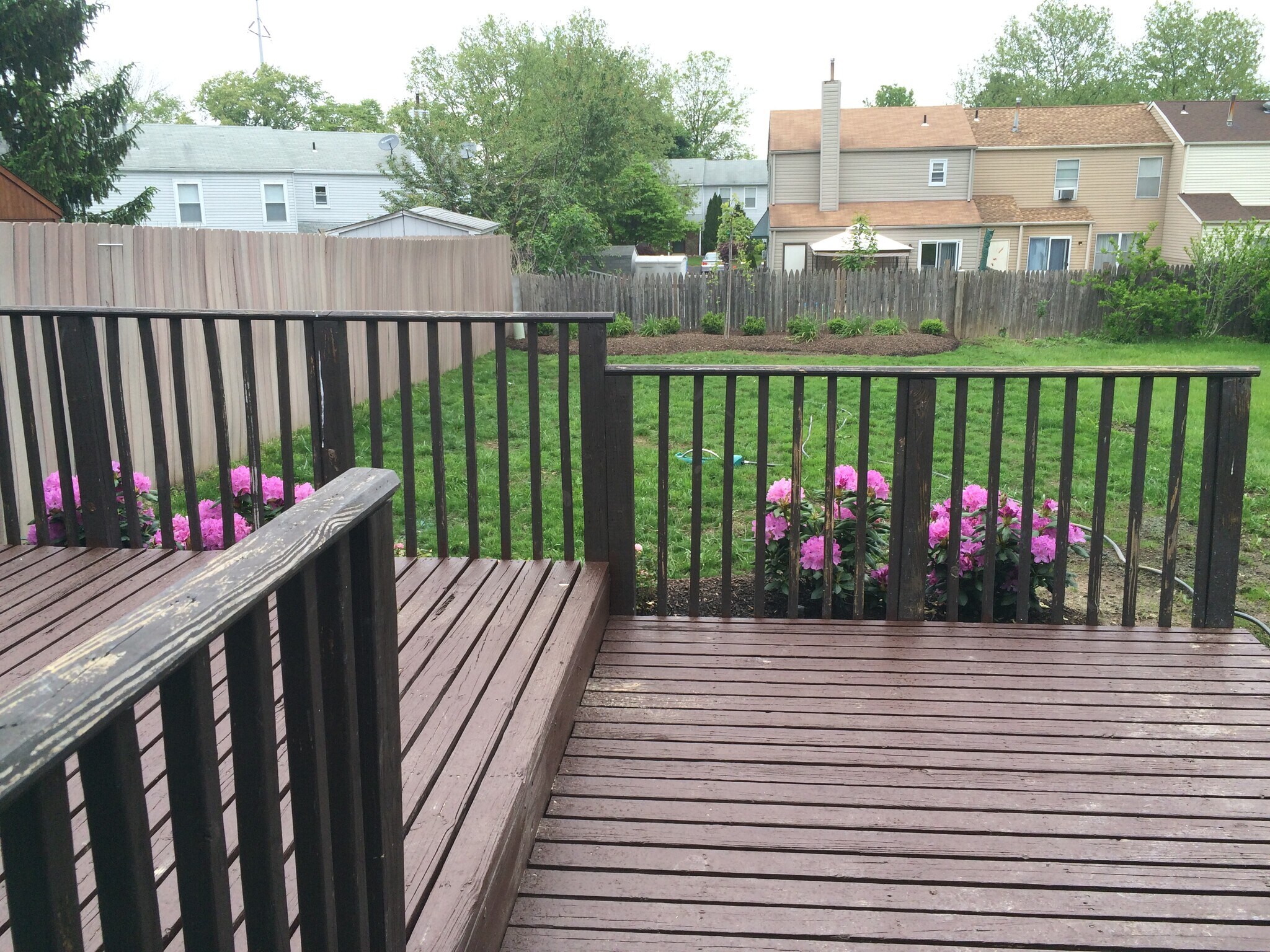 Backyard - 109 Hunt Dr