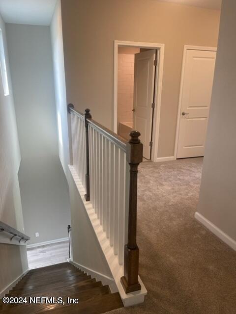 Building Photo - 157 Silver Myrtle Ct