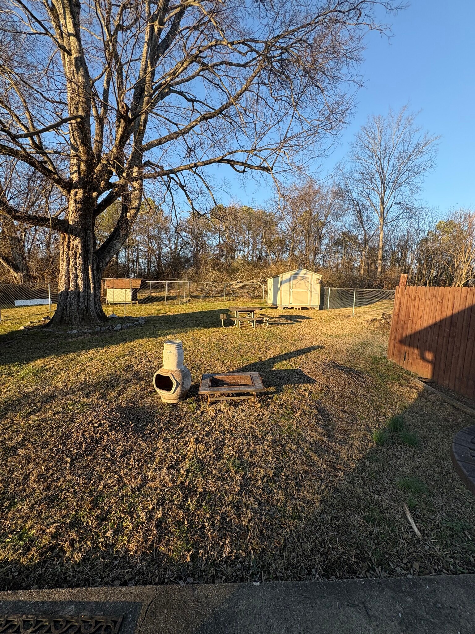 Backyard - 1509 Layman St