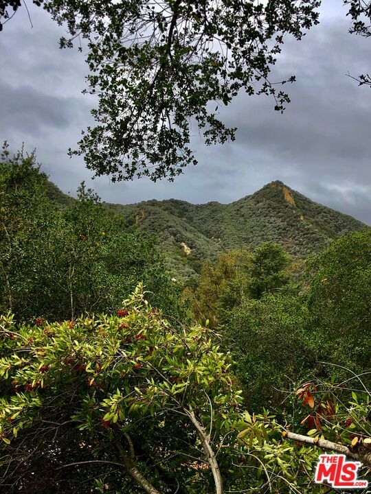 Building Photo - 764 Old Topanga Canyon Rd