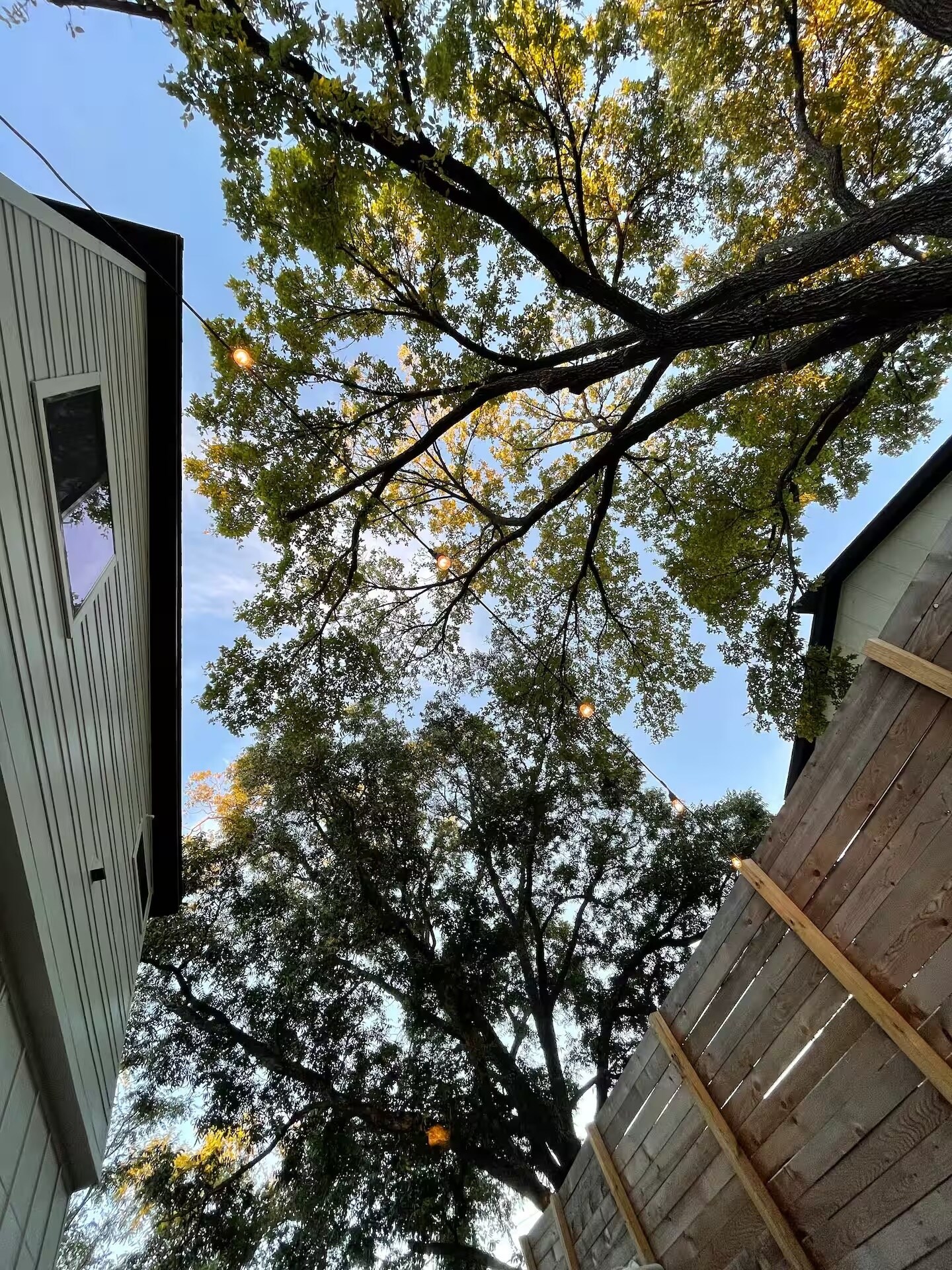 Building Photo - 1804 E 14th St