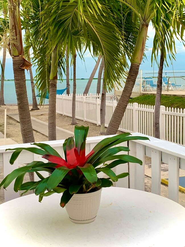 Building Photo - 55 Boca Chica Rd