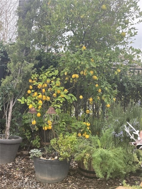 Building Photo - 29219 Woodbridge Dr