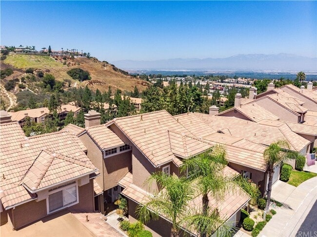 Building Photo - 1588 Elegante Ct