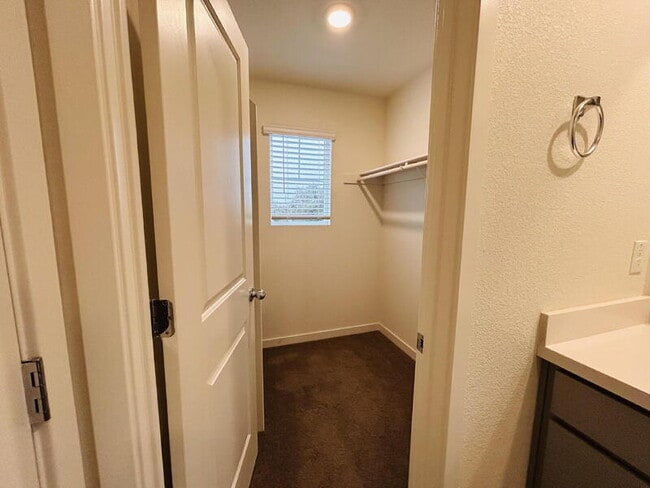 Building Photo - 5312 Molino Cir