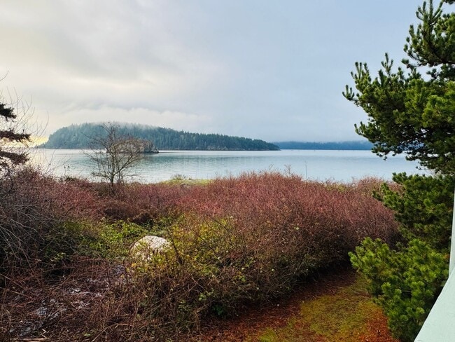 Building Photo - La Conner Home with Stunning View