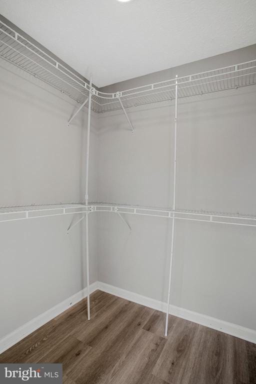 Building Photo - 8263 Berryfield Dr