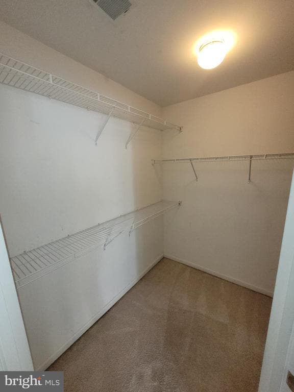 Building Photo - 4008 Spirea Ct