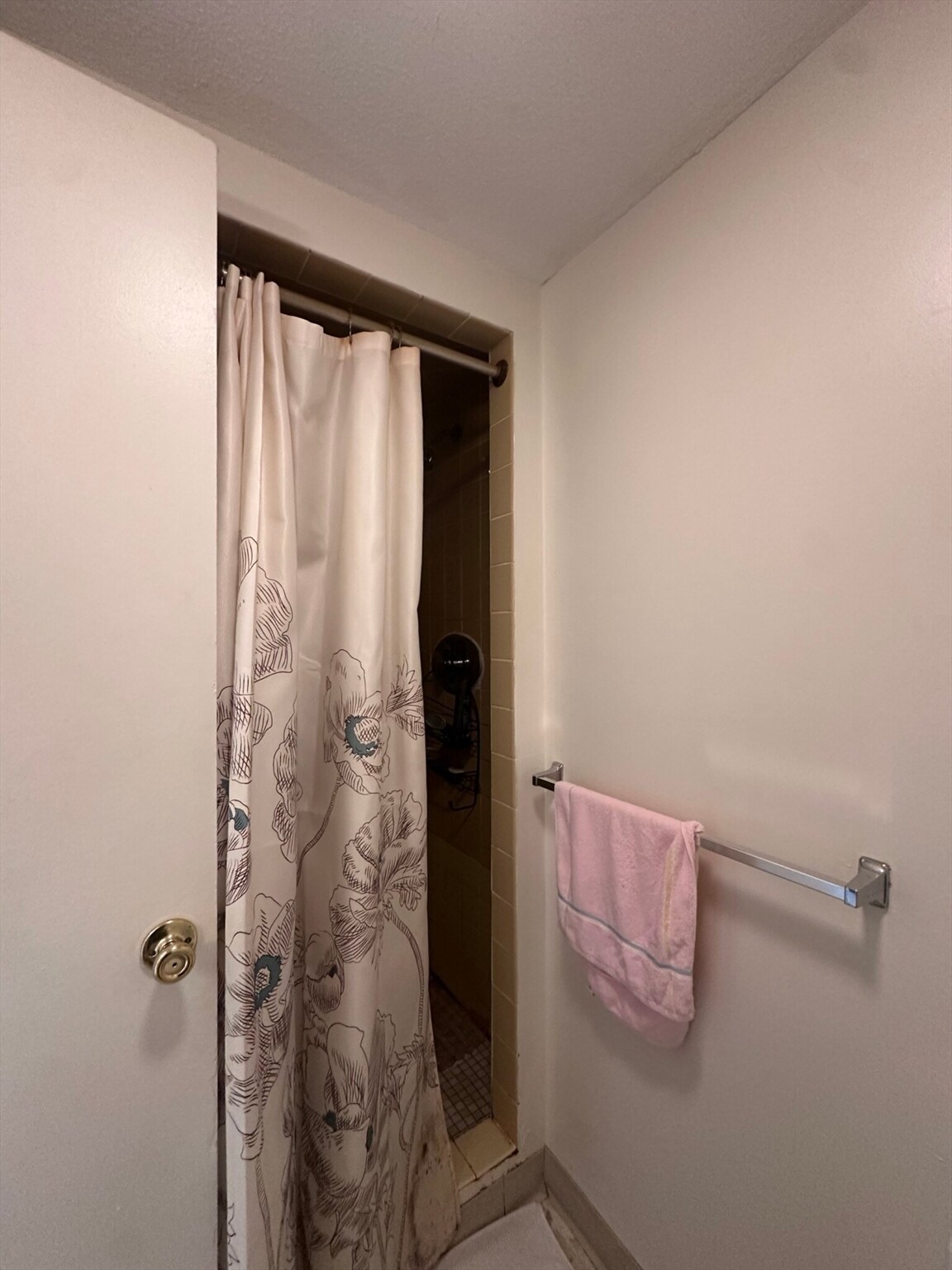 Building Photo - 41 Marion St