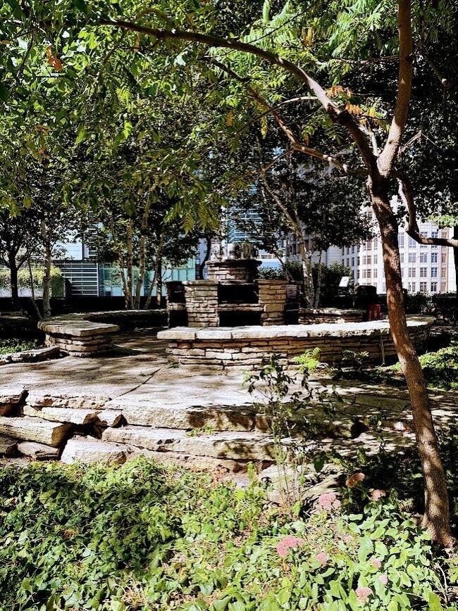 Building Photo - 505 N Lake Shore Dr