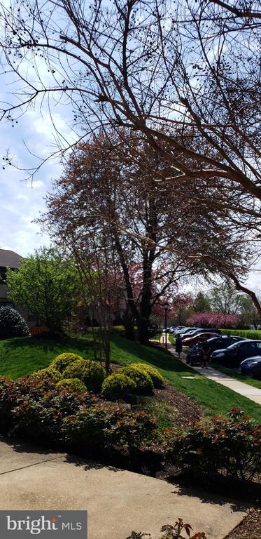 Building Photo - 1691 Westwind Way