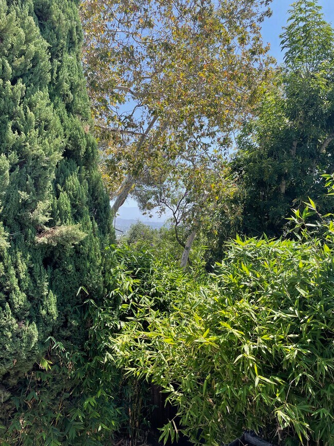 View From Deck - 2522 Lake View Ave