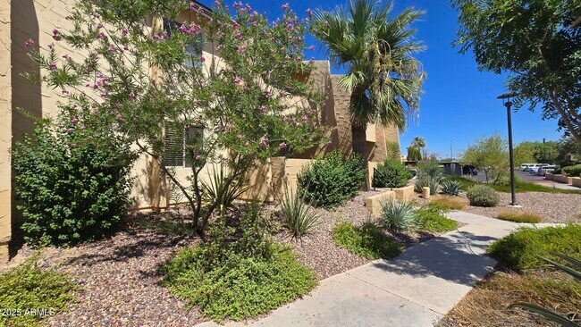 Building Photo - 8055 E Thomas Rd