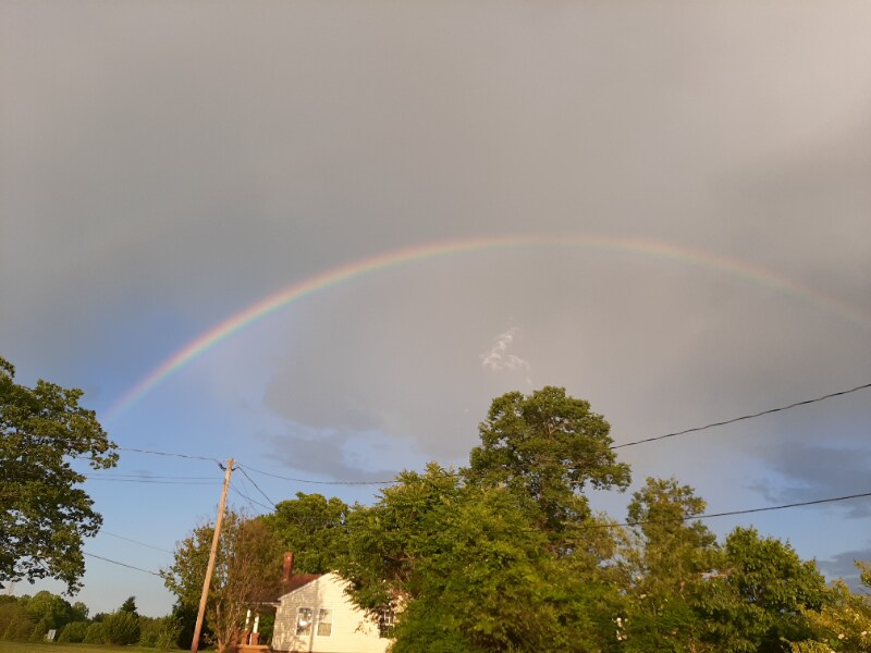 Building Photo - 885 Rural Hall-Germanton Rd