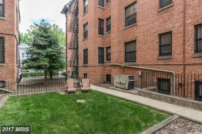 Lawn - 1436 Meridian Pl NW