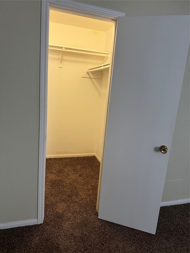 Building Photo - 11123 Cayman Mist Dr