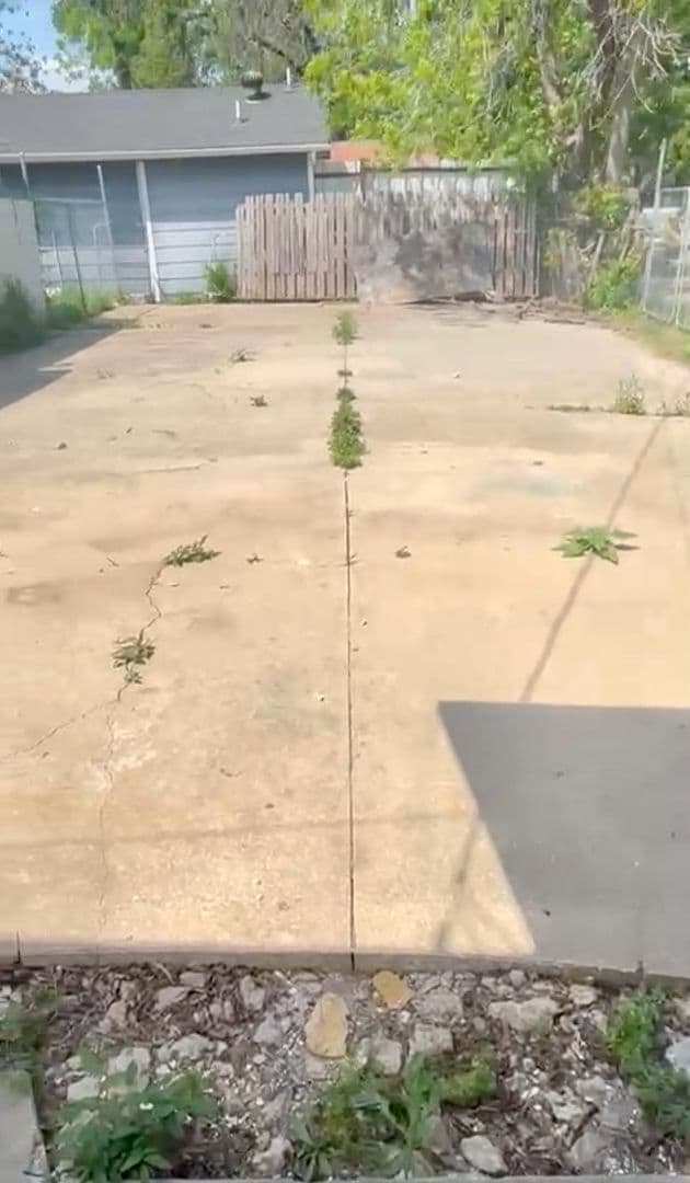 Building Photo - Charming Renovated 3-bedroom, 2-bathroom home!