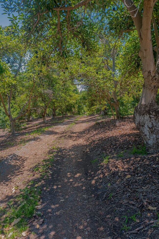Building Photo - 3 Bedroom Ranch-Style Home on Avocado Grove Property in South Morro Hills
