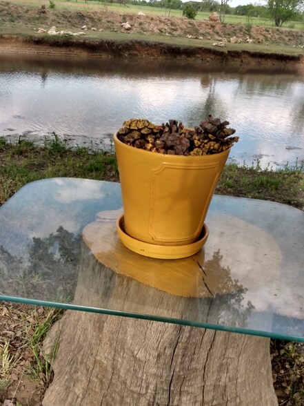 Building Photo - 739 Proctor Ln