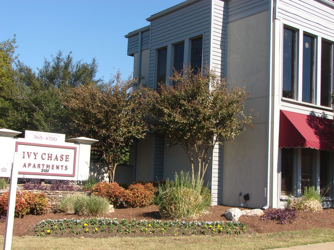 Building Photo - Ivy Chase Apartments