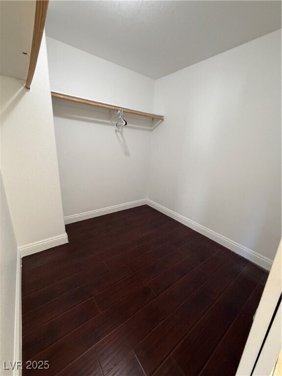 Building Photo - 9843 Ashton Pines Ct