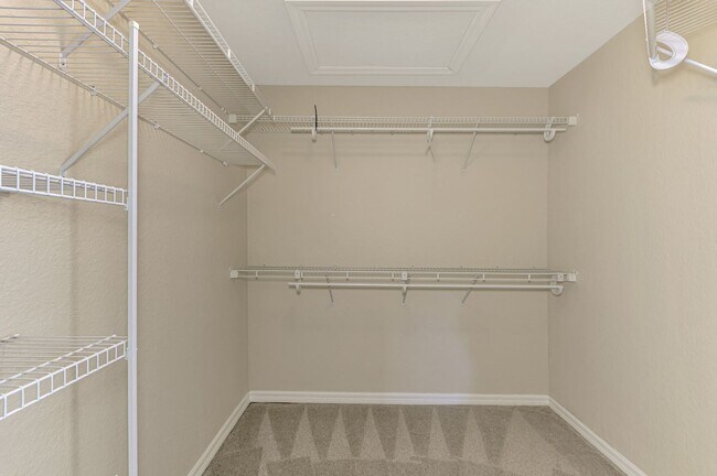 Building Photo - Beautiful 3/2 in Tara Community