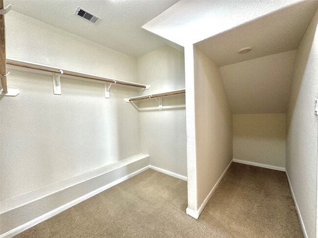 Building Photo - 18002 Alora Springs Trace