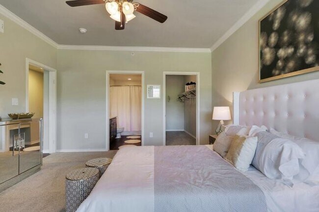 Building Photo - 3 bedroom in Frisco TX 75034