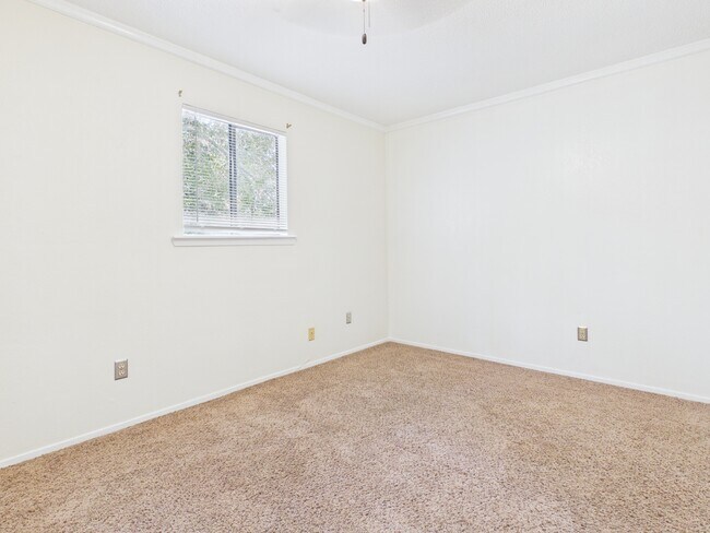 Building Photo - 4345 Carter Creek Pkwy