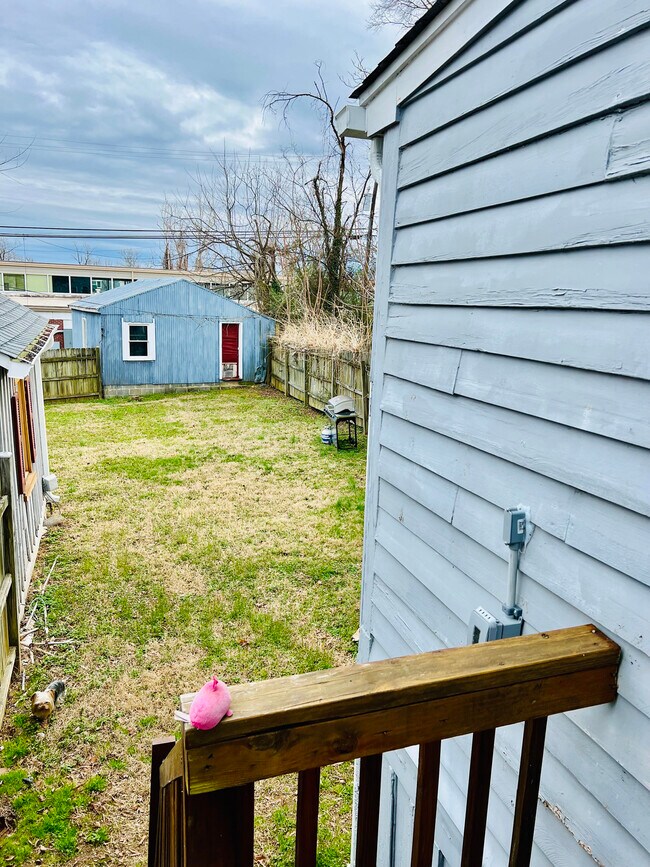 Backyard - 1002 Lafayette Blvd