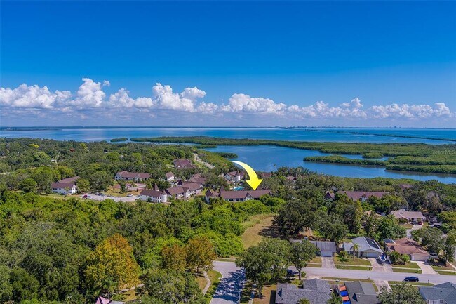 Building Photo - 240 N Bayshore Blvd