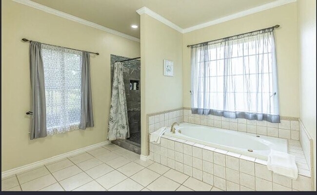 Building Photo - Executive Home for Rent 7 Acres with Resort Style Amenities